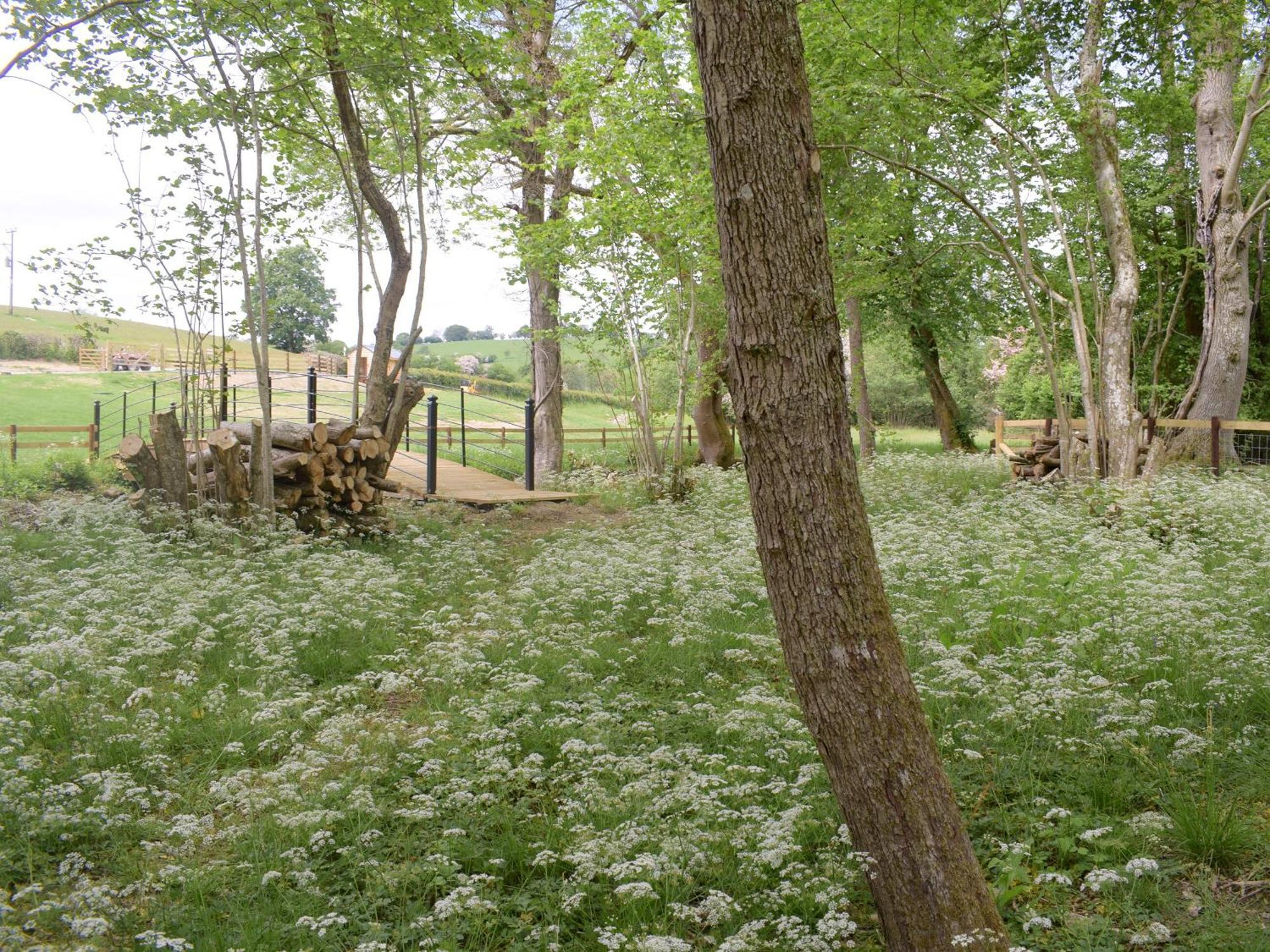Villa Efyrnwy Pod Vip Llanfyllin Esterno foto